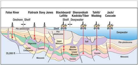 Cross-section of various wells in the Gulf of Mexico, indicating varied vertical depths and geological formations.