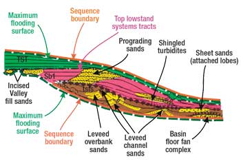 Fig. 4. Reservoir sands are distributed in a lowstand systems tract.
