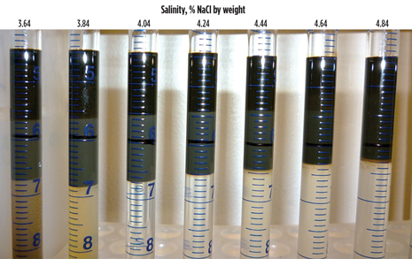 Fig. 2. Photograph of a salinity scan for the formulation containing (by weight) 0.625% Petrostep S1, 0.375% Petrostep S2, 2% sec-butyl alcohol, 1% Na2CO3 and 2,000-ppm Flopaam 3330S polymer, with Trembley crude oil at 46.1°C.