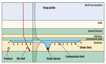 Fig. 1. Steam rises from the injector to the top of the reservoir, spreads horizontally, condenses, descends and heats the oil.