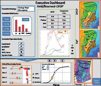 Fig. 3. Executive Dashboard of Roll-Up Initiative4