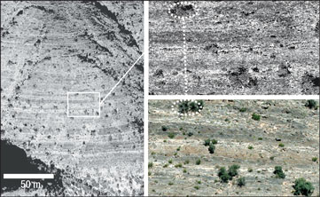 Lidar images and detailed photograph illustrating the resolution and accuracy of terrestrial scanning lidar.