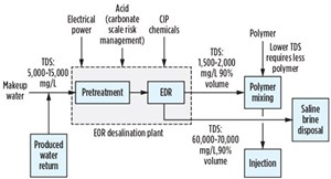 Fig. 2. Process flow diagram for flex EDR system setup.