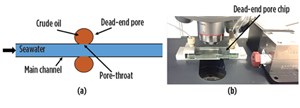 Fig. 2. Conceptual line diagram of the dead-end pore microchannel (a). Microscope used to observe dead-end pore microchannel (b).