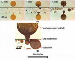 Fig. 3. Trapped oil in A microchannel at 0.1 hr, 6 hr and 48 hr (a). Enlarged image of swelled oil after 23 hr (b).