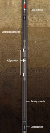 Fig. 1. The full suite of ESP protective technologies installed within a production string.