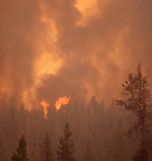 wildfires in Alberta, Canada