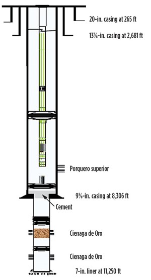 Wellbore schematic for Well P1.