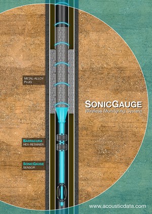 Acoustic Data SonicGauge