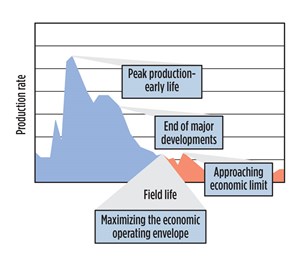 Fig. 6. Typical field production rate, over time.