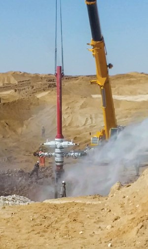 Fig. 5. Algeria is hoping to improve output from existing wells operated by state firm Sonatrach, as well as add production from new drilling, to restore its exports to more-accustomed levels. Image: Sonatrach.