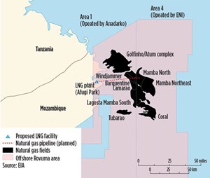 Rovuma discoveries offshore Mozambique. Although it has no crude oil production, a planned LNG facility will allow the development of Mozambique’s considerable gas reserves.