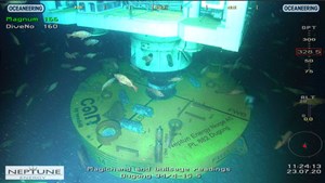 Fig. 2. Here, the CAN is installed with a BOP.