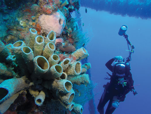 Fig. 5. Whether a platform is a good candidate for the RtR process must be assessed on a case-by-case basis. This diver is on an offshore oil platform in the Gulf of Mexico.