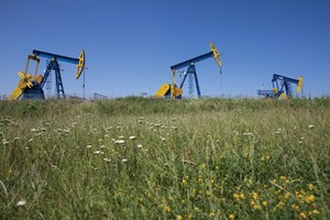 Fig. 5. Romania’s oil production, exemplified by these pumpjacks on the Viforita asset, continues to decline at about a 6%-per-annum rate, according to dominant operator OMV Petrom. Image: OMV Petrom.