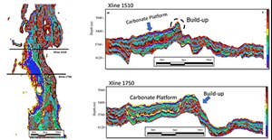 Fig. 9. In the map view, it is possible to see that the dark blue (class 8) and violet (class 9) colors, delimited by yellow dotted lines, can be associated with the carbonate platform facies previously identified in the seismic amplitude.  The region represented by the brown (class 1) and orange (class 3) colors, delimited by the black dotted lines, is related to the fracture zone.