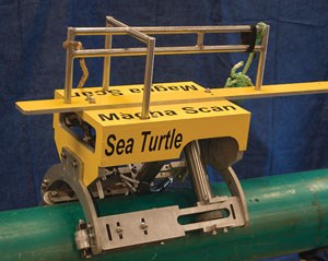Subsea inspection system