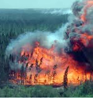 wildfire disrupting energy production in Canada