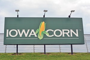 Given Iowa’s significant role in the U.S. presidential primary process, and the fact that great amounts of corn are grown in the state, politicians of both parties are reluctant to resist the ethanol lobby. Photo: Iowa Corn Promotion Board&#x2F;Iowa Corn Growers Association.