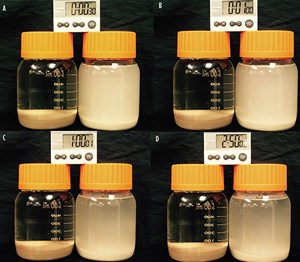Fig. 2. Time-lapse photos of kRT 100 proppant (left-hand container), versus uncoated 100 mesh sand (right-hand container), after being loaded at 2 lb&#x2F;gal in fresh water and agitated for the same amount of time. The sequence shows the lack of air entrapment and wettability at 30 sec (A), 1 min. (B), 1 hr (C) and 2 hr, 50 min. (D).