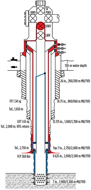 Fig. 2. Well barrier diagram with primary and secondary (indicated in blue and red, respectively) containment elements. Image: Wellbarrier.