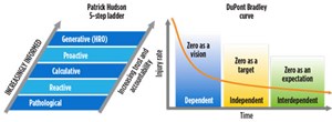 Fig. 2. An HSE culture roadmap was developed to accelerate the vision-target-expectation progression.