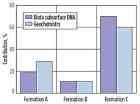 Fig. 3. Formation allocation for a commingled oil sample taken from the three stacked benches in the Northwest shelf. End-members for subsurface DNA and geochemistry were taken from vertical parent wells and used to determine production allocation.