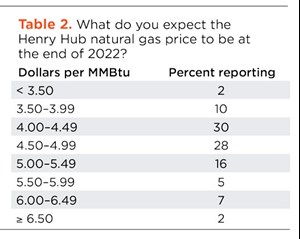 Table 2. What do you expect the Henry Hub natural gas price to be at the end of 2022?