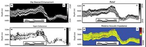 Fig. 5. Seismic attributes computed within the interval of interest. The seismic amplitude after applied DSE, relief, and Eigen coherence attributes were used as input for the PCA workflow, while the attribute relative acoustic impedance was used together with the result of the PCA to generate the facies classification.
