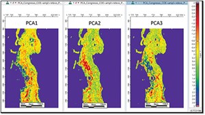 Fig. 7. Depth slice 5424, showing the three resultant components of the principal component analysis. The PCA was performed with the amplitude, Eigen coherence and relief attributes as input. The components, PCA2 and PCA3, were chosen as input for the facies classification, due to their better discrimination between build-ups and the carbonate platform.