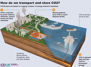 infographic of carbon storage technology