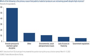 Fig. 5. Special question on factors holding back production growth.