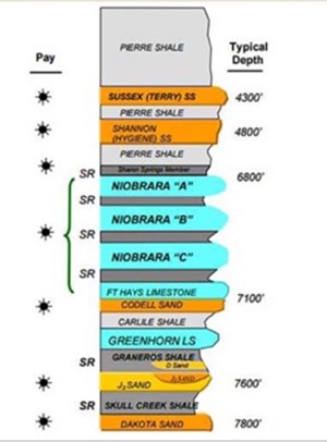 Fig. 3. DJ basin stratigraphic column.