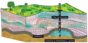 Fig. 1. Here, the CO2 is being injected by a vertical well into a subterranean anticline.