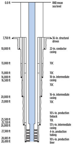 Fig. 4. A schematic of the wellbore used in the workflow example.