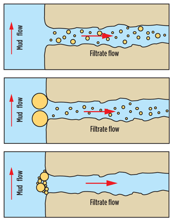 Fig 1. Correctly sized solids should not enter the formation, where they could cause damage and affect log responses. If solids are too small, they cannot bridge the pore space and whole mud will invade the formation. Solid particles that are too large can prevent a bridge, allowing smaller particles to invade. With the right mix of particle sizes, only clean filtrate will enter the formation.