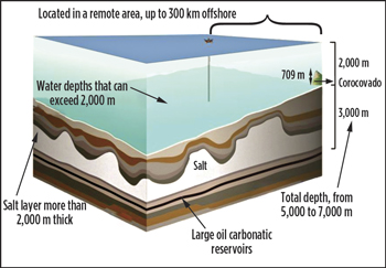 Fig. 2. Santos basin pre-salt environment. Fig. 2. Santos basin pre-salt environment.