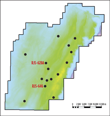 Fig. 3. Wells drilled in the Tupi area of Lula field.