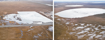 Fig. 2. The experimental lake (left) and control lake located at the Franklin Bluffs on Alaska’s North Slope in June 2009.