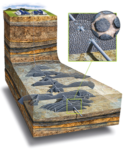 WO1213-Terrell-HSE-wrap-Fig-05.jpg WO1213-Terrell-HSE-wrap-Fig-05.jpg