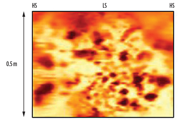 Fig. 4. Vuggy fabric within the Pacassa formation, electrical image (memory).