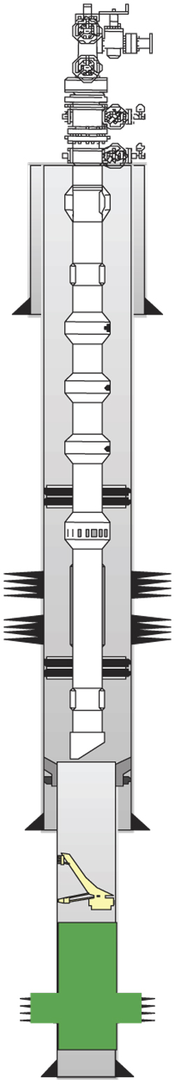 Fig. 1. Pilot well #1 diagram. Fig. 1. Pilot well #1 diagram.