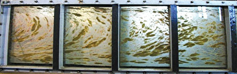 WO0115_Inyang_Hydraulic_Fracturing_Fig_04.jpg WO0115_Inyang_Hydraulic_Fracturing_Fig_04.jpg