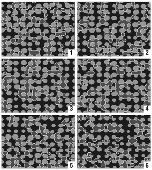 The six different porous media studied at N = 128 resolution. Light gray = solid grains; black = wetting water; dark grey = non-wetting oil; white = boundary points surrounding the oil patches. All snapshots here are taken just after oil-water separation has occurred and before macroscopic forcing. The porosities and permeabilities (lattice-Boltzmann units) for the six materials shown are given in the legend in Fig. 7. 