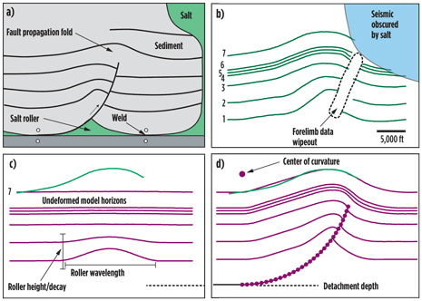 Fig. 3. a) Geometry for the synthetic problem. b) Data constraining the structure are horizons picked from seismic where the picks are robust and not obscured by salt or data wipeout in the fold forelimb. c) In the initial condition, thinning over the salt roller has been parameterized by a periodic function. d) The globally optimized trishear model. Parameters solved for in this model are: detachment depth, trishear angle, propagation-to-slip ratio, center of curvature, roller function position, wavelength, height and decay.