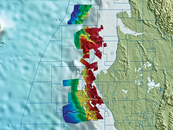 Fig. 2. Base Miocene two-way-time seismic profile image offshore northern Gabon.