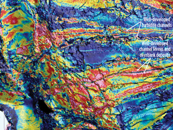 Fig. 4. Amplitude extraction offshore Angola showing the development of turbidite channels.