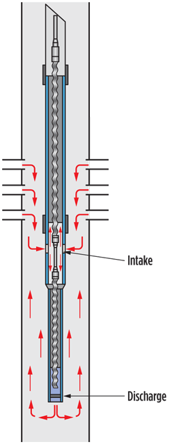 Fig. 2. Schematic of the downhole pumping unit consisting of a left-helix PCP below a higher-powered upward-producing PCP.