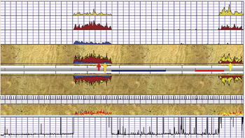 Fig. 5. Fracture tracer survey, courtesy of Protechnics Fig. 5. Fracture tracer survey, courtesy of Protechnics
