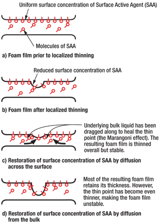 Fig. 2. Film elasticity (Marangoni) effect.